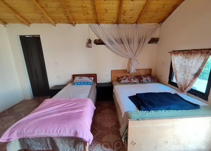 Orman Evi White House Camp Nuweiba`