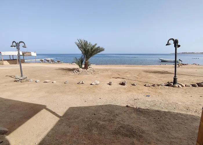 White House Camp * Nuweiba`